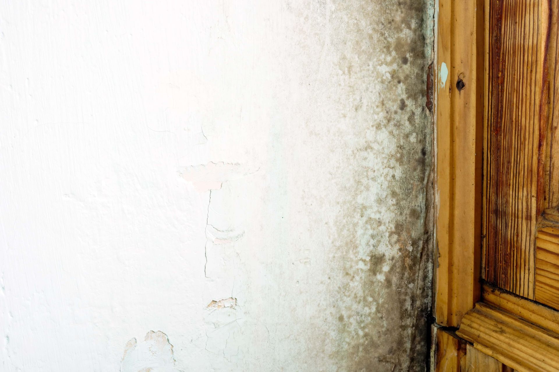 A white wall with black mold growing on it next to a wooden door.