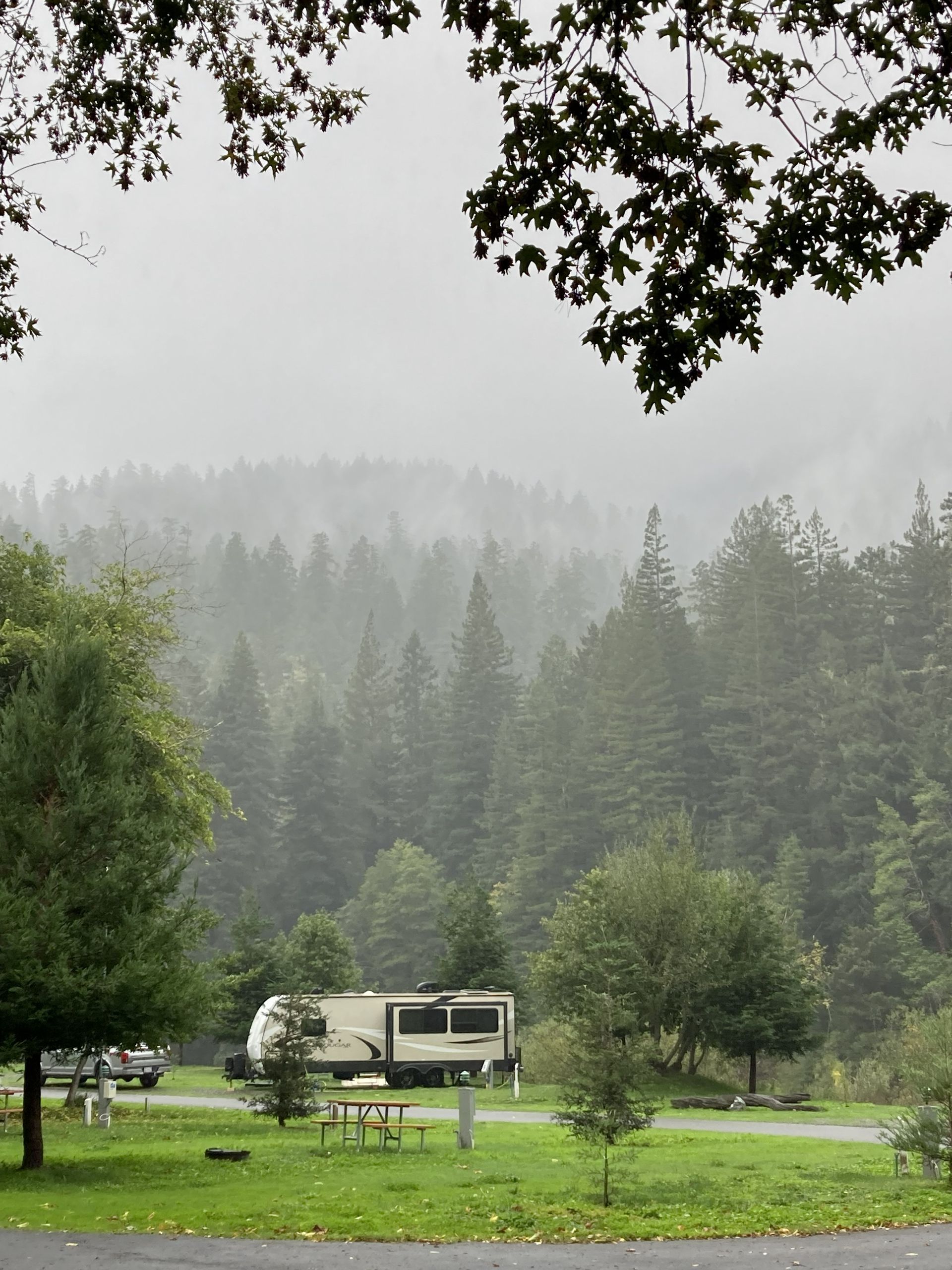 A black and white off-road camper trailer parked in a wooded area with its side hatch open to reveal a kitchen setup.