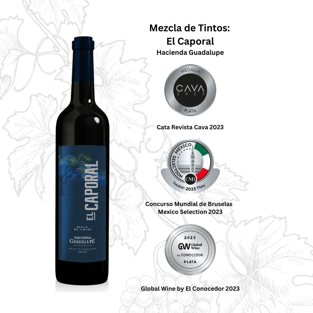 Winery at Hacienda Guadalupe