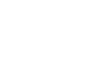 Diamond G AC