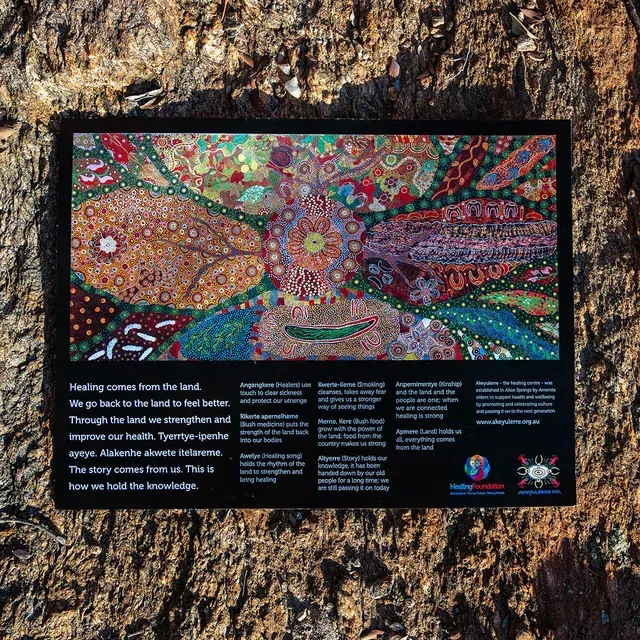 An informational sign featuring vibrant Indigenous-style dot art mounted on a tree trunk, explaining healing from the land.