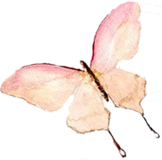 A watercolor painting of a pink butterfly on a white background.