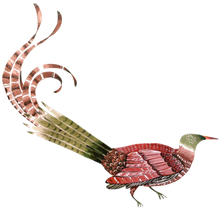 A red and green bird with a long tail
