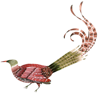 A red and green bird with a long tail