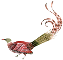 A red and green bird with a long tail
