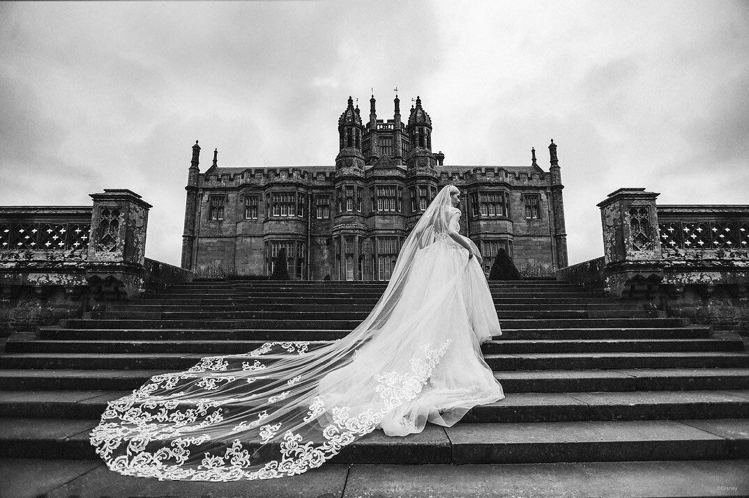 A bride in a long wedding dress and veil is standing on stairs in front of a castle.