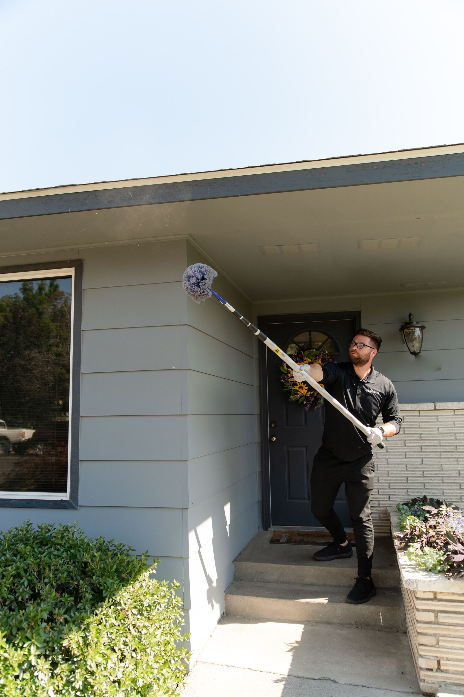wasp and hornet control Redmond WA
