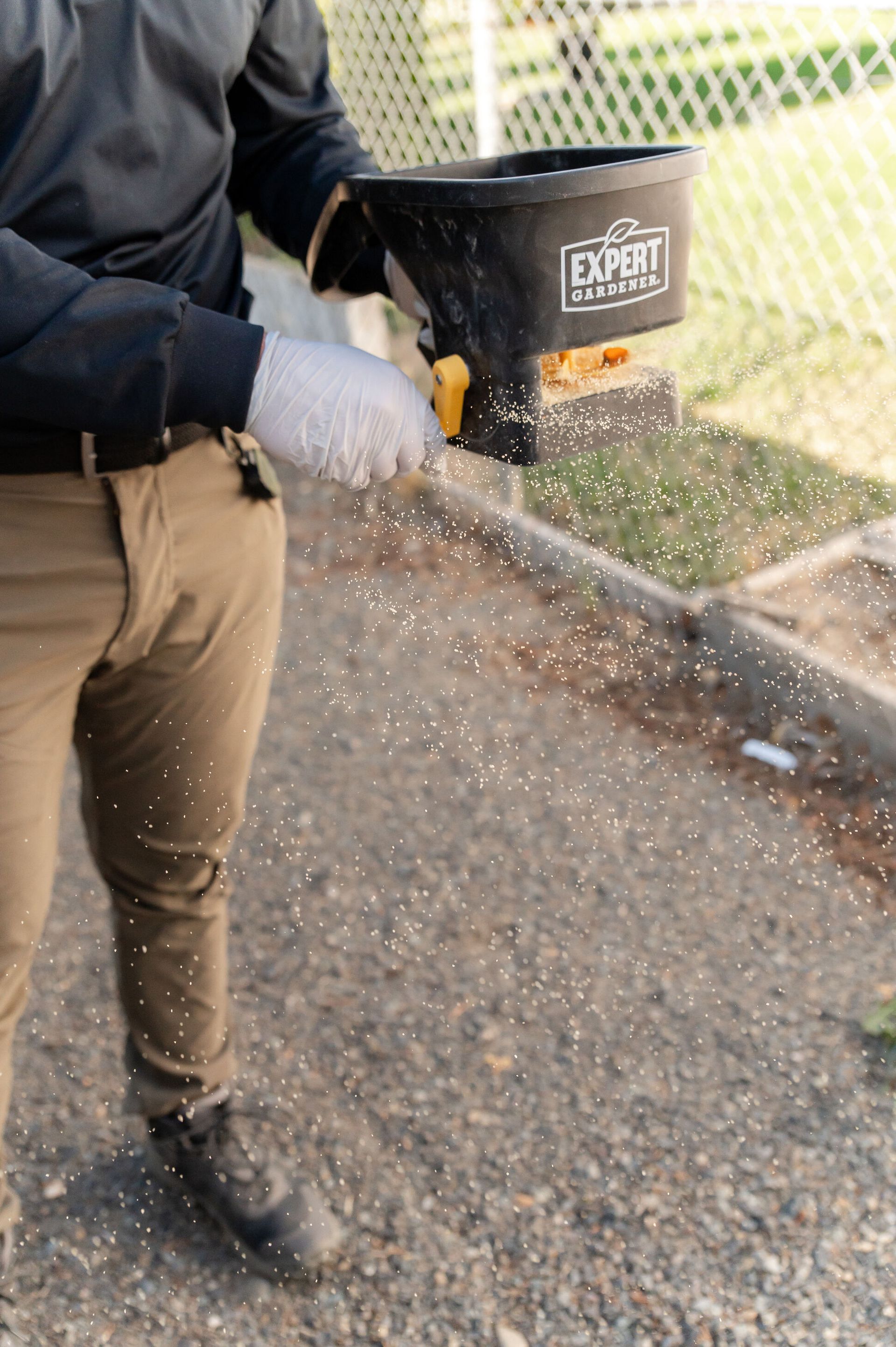 rodent control redmond wa
