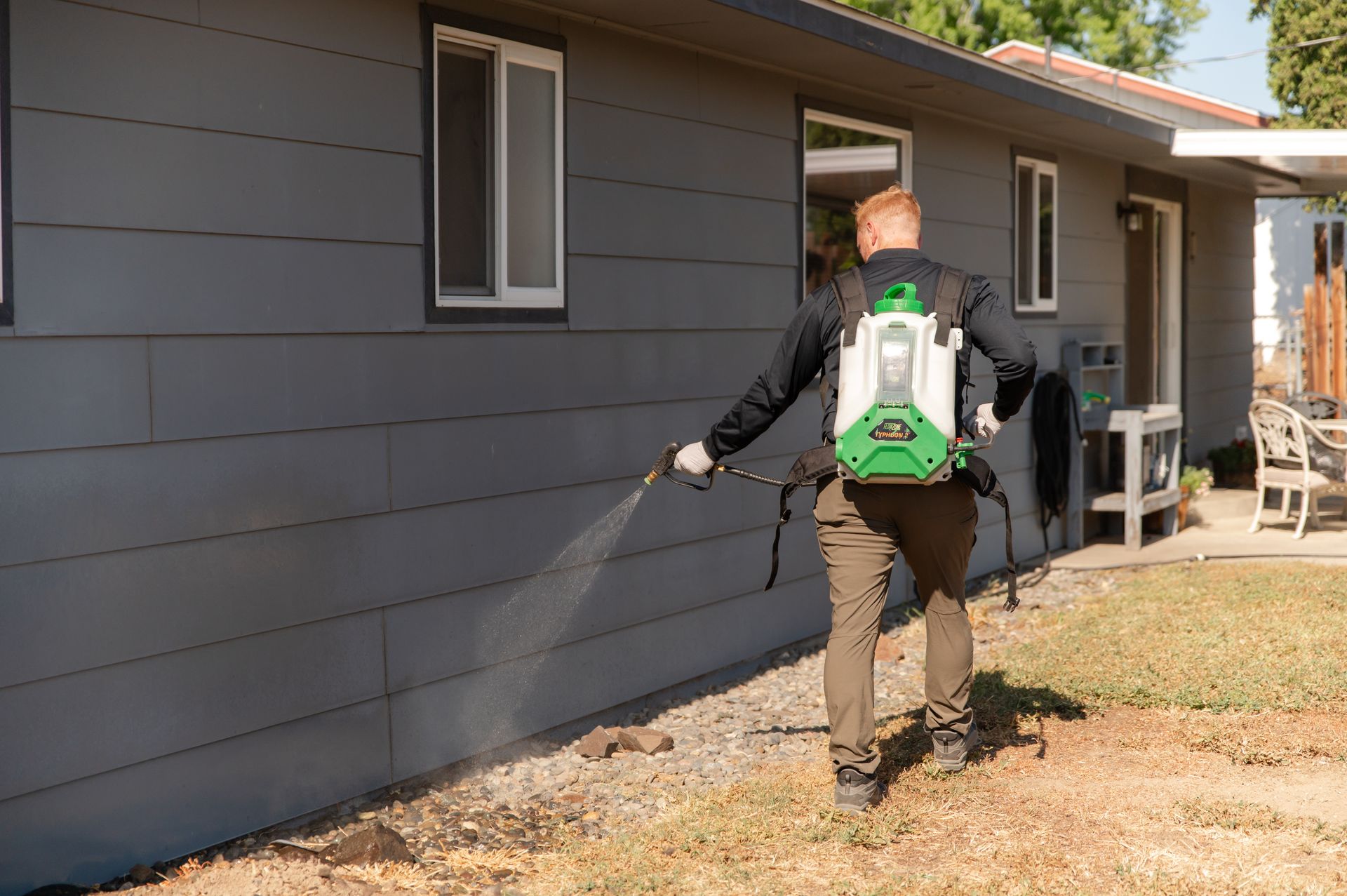 ant control Redmond WA