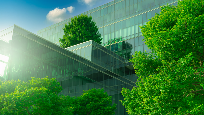 Modern glass building surrounded by lush green trees in bright sunlight