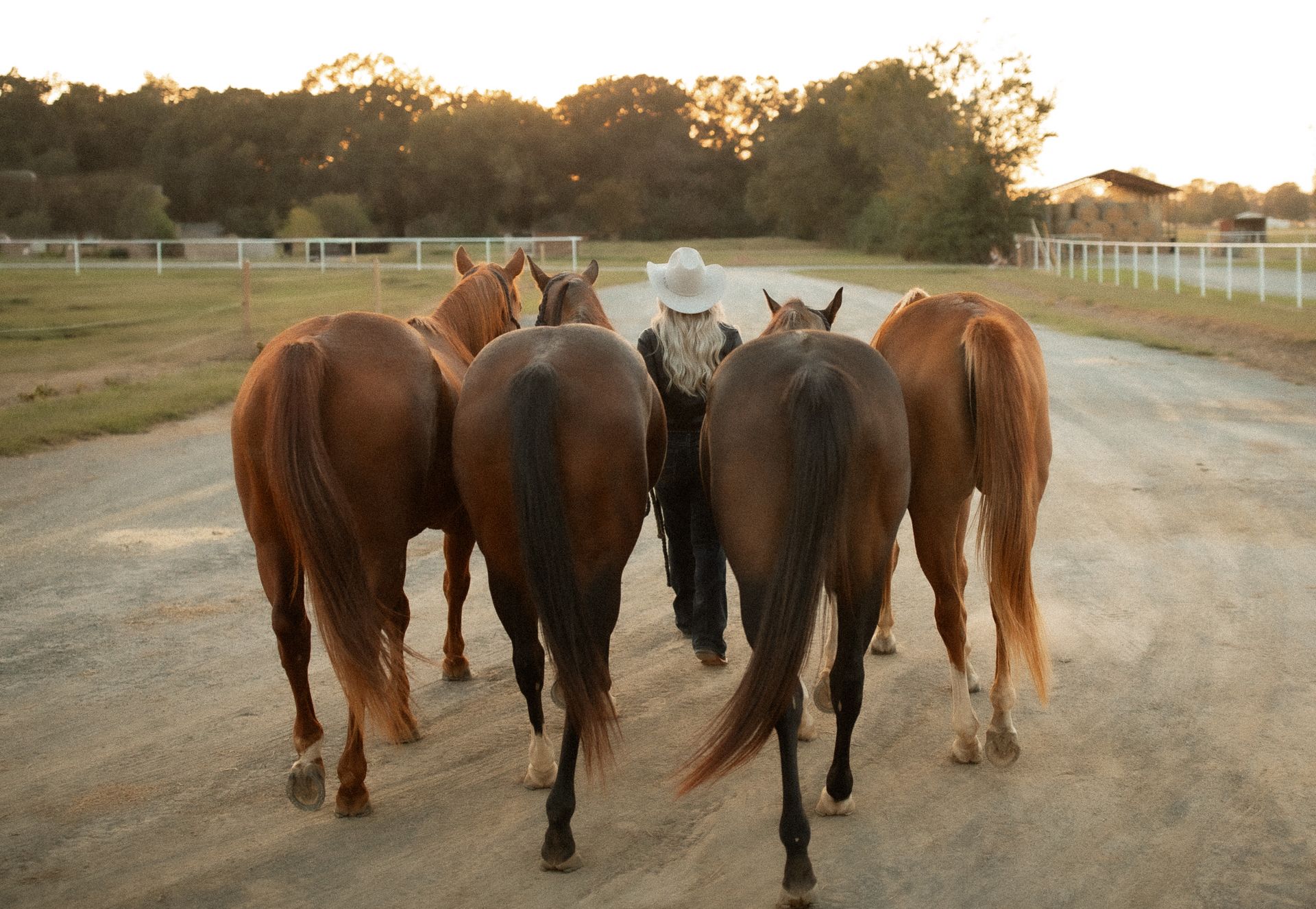 A man in a cowboy hat leads a herd of horses down a dirt road