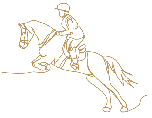 A line drawing of a person riding a horse.