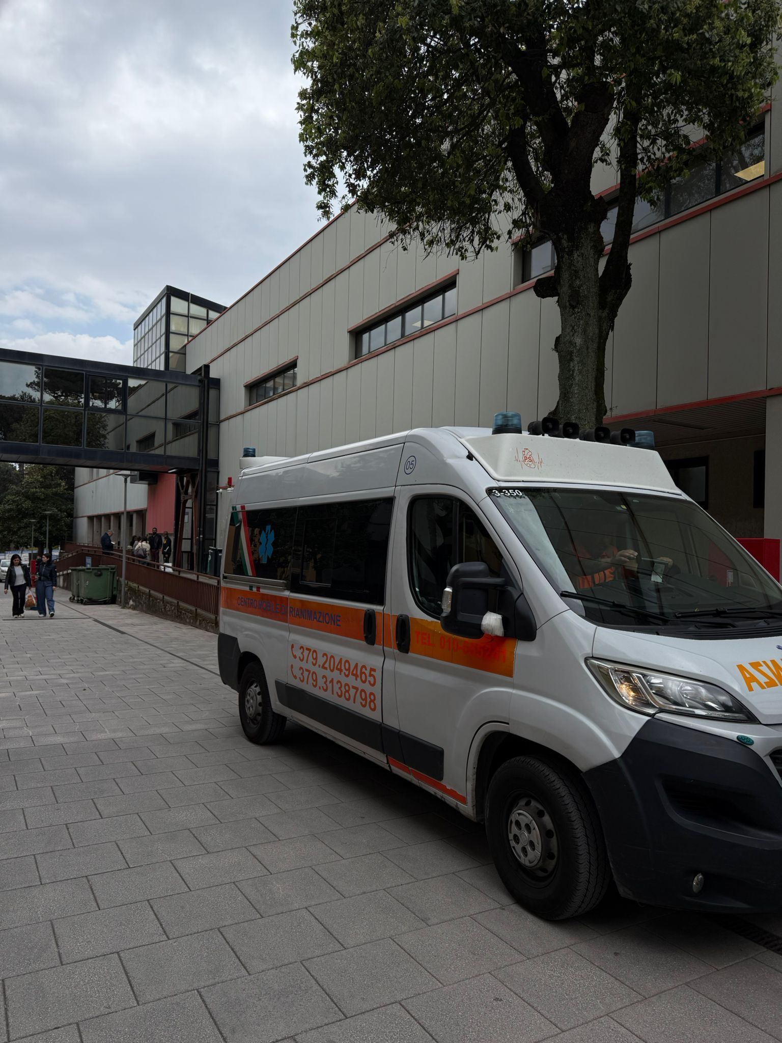 Un furgone ambulanza bianco è parcheggiato davanti a un edificio su una strada asfaltata, con un albero sopra la testa.