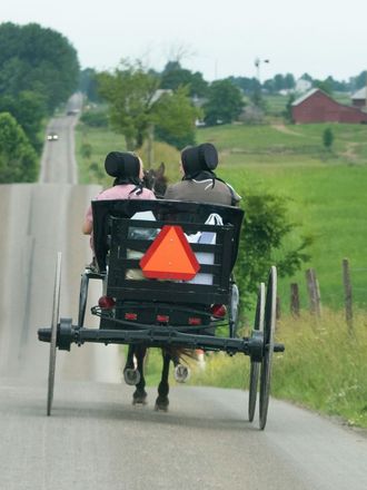 A horse drawn carriage is driving down a road A horse drawn carriage is driving down a road