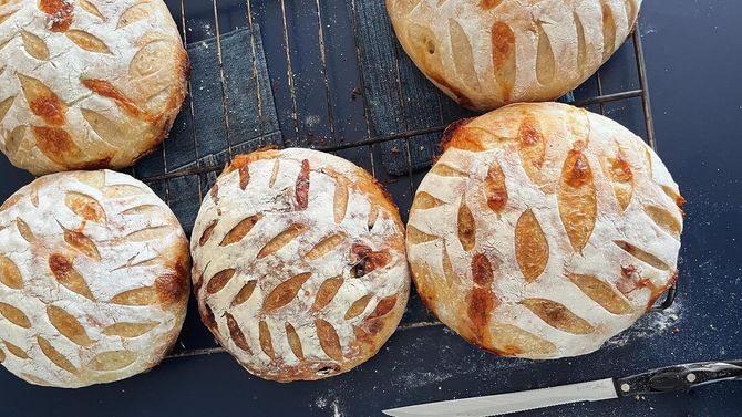 Four loaves of bread are sitting on a cooling rack. Four loaves of bread are sitting on a cooling rack.