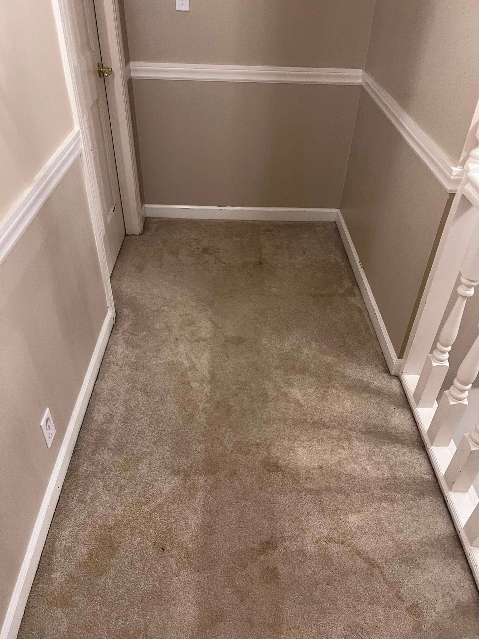Narrow carpeted hallway with beige walls and white trim, ending at a closed door.