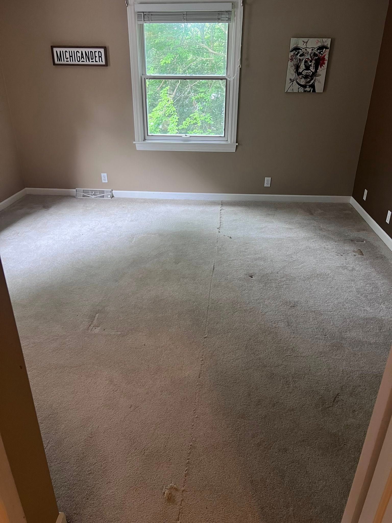 Empty beige-carpeted bedroom with a centered window and framed wall art.