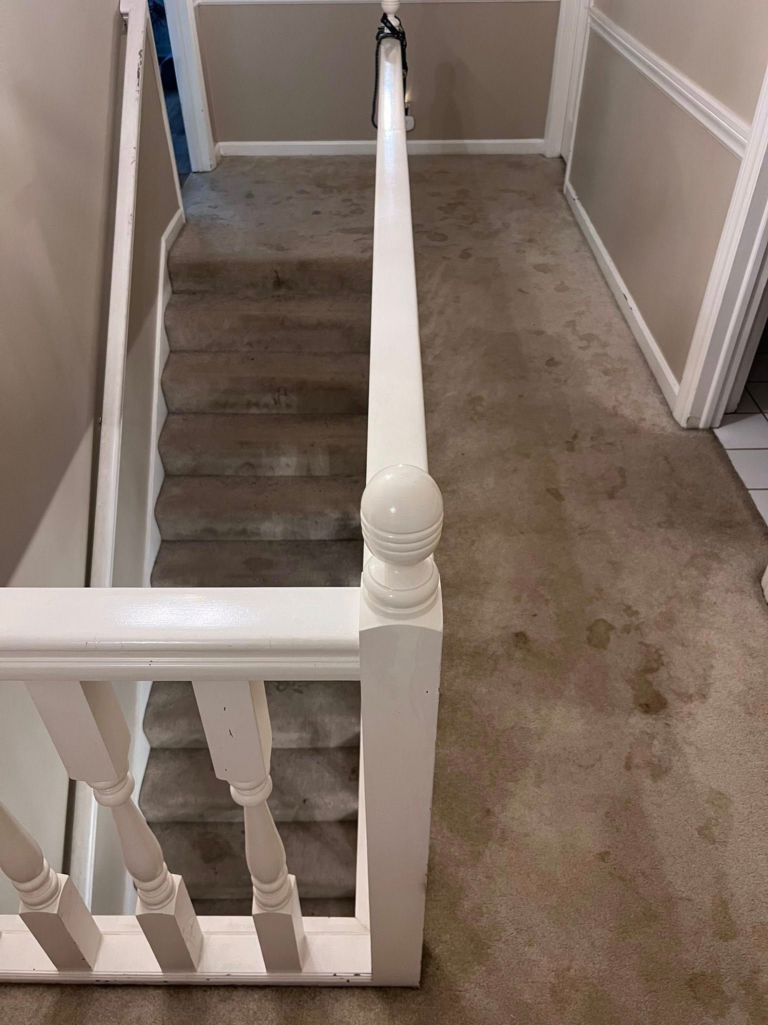 Top of a carpeted staircase with white railing and beige walls, viewed from the landing.