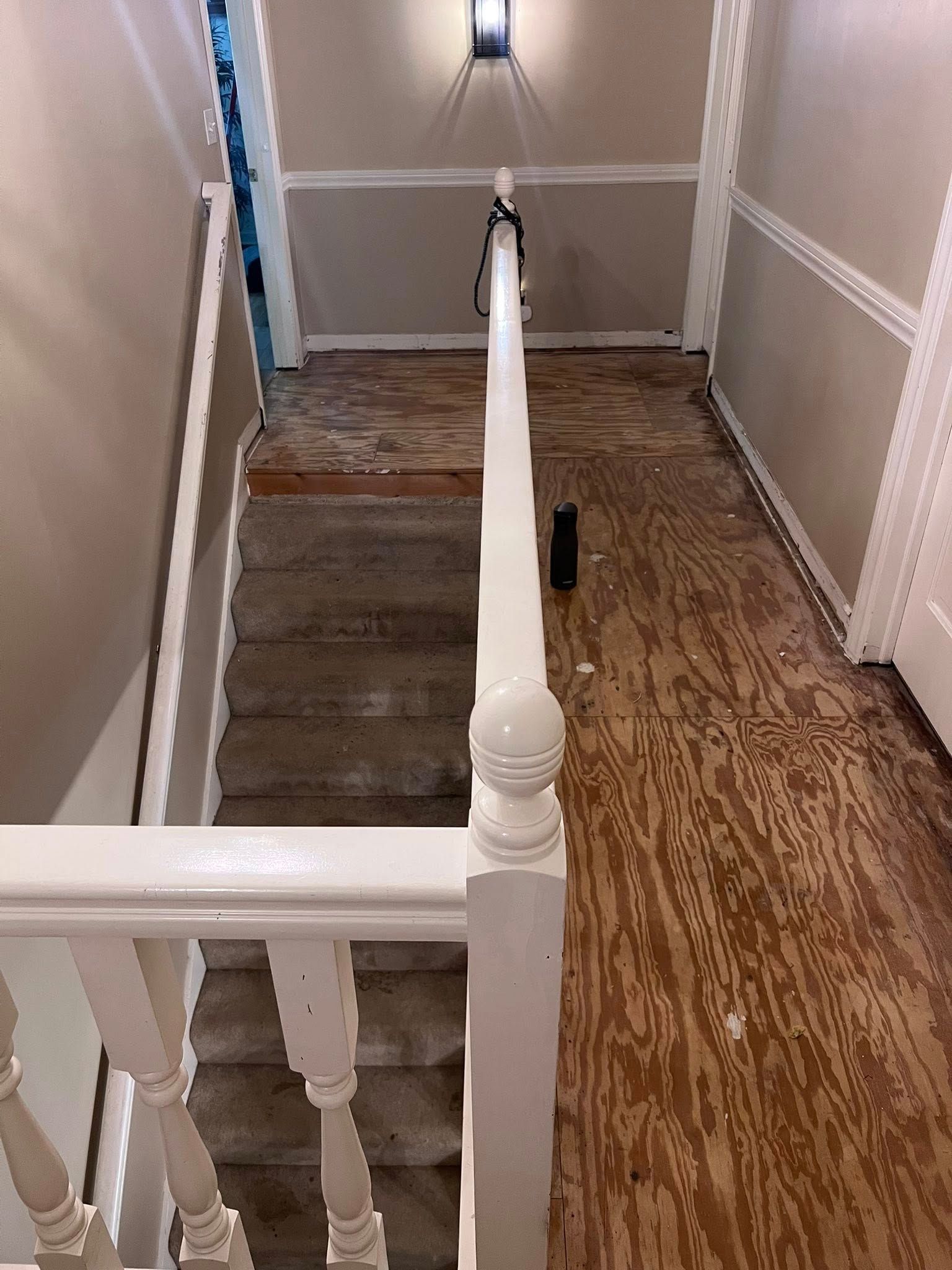 Staircase hallway with white railings, worn brown carpet, and a dark object on the floor.