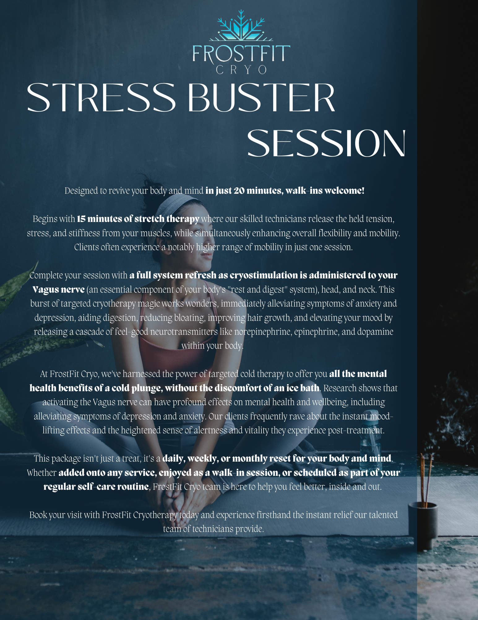 Flyer for a 