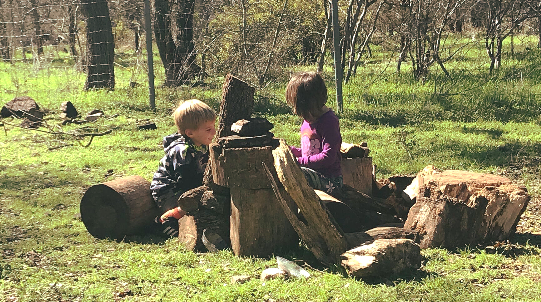 A boy and a girl are sitting on logs in the grass.