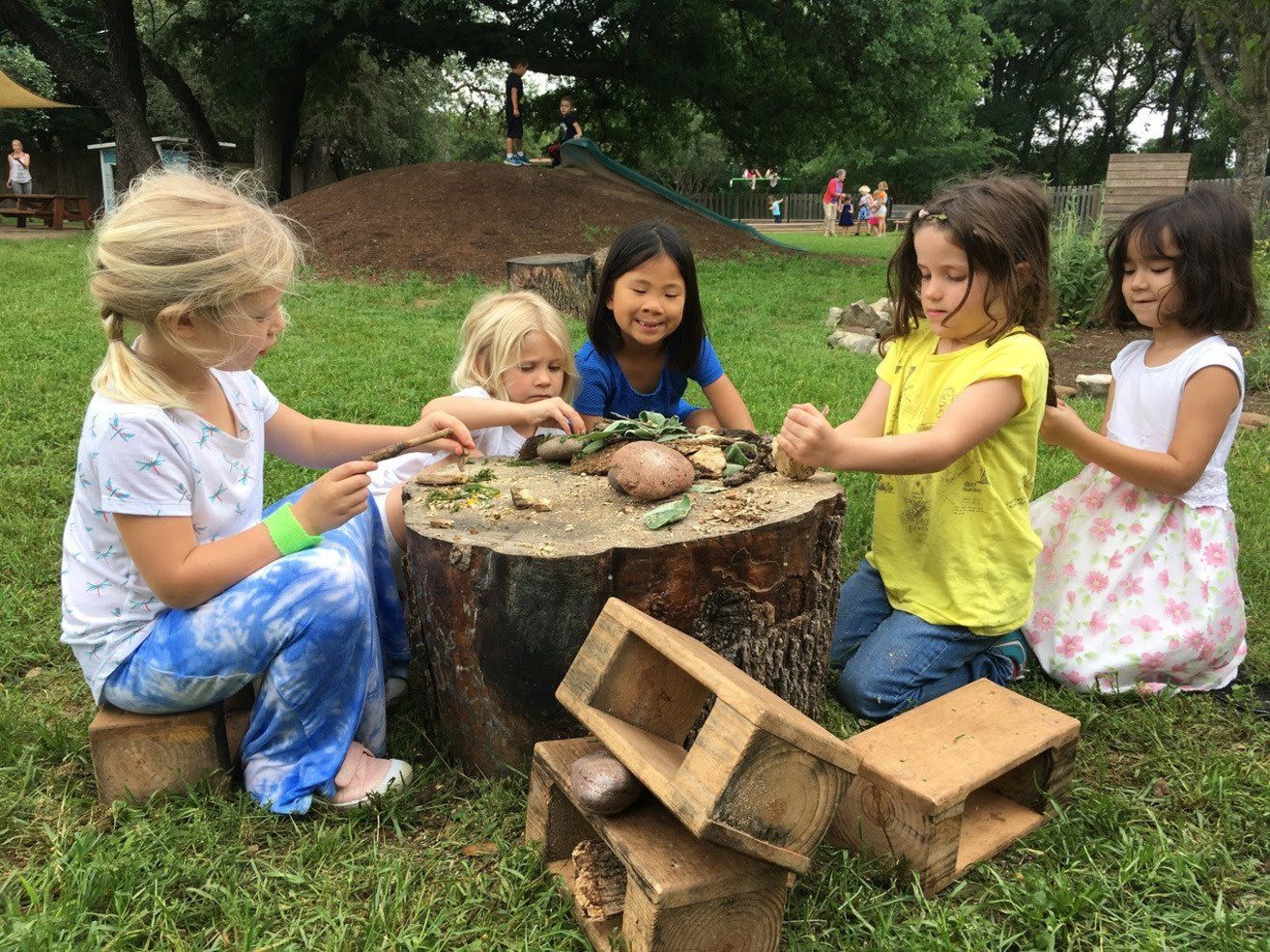 A group of young girls are playing with rocks on a tree stump.