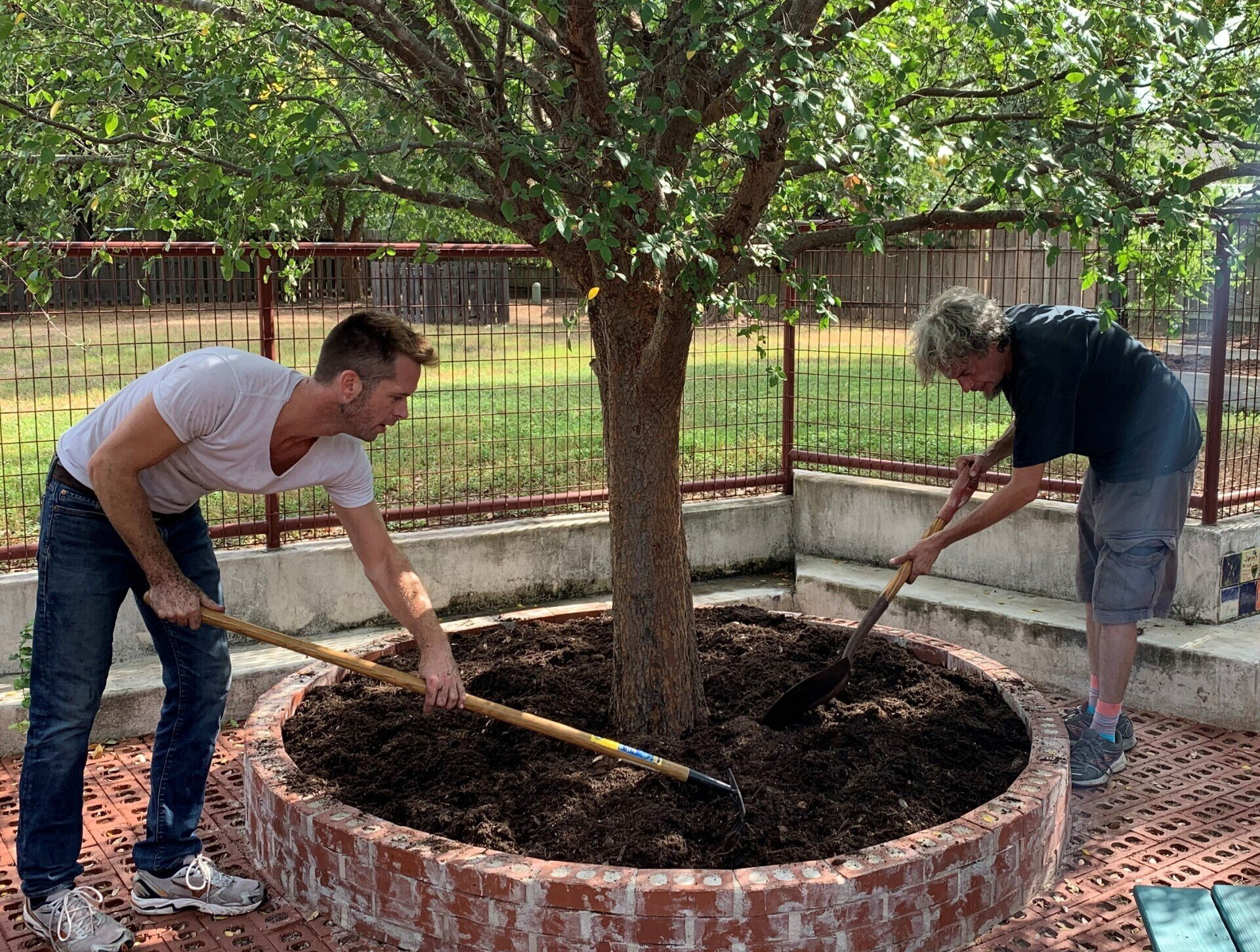 Two men are planting a tree in a brick plantervolunteering