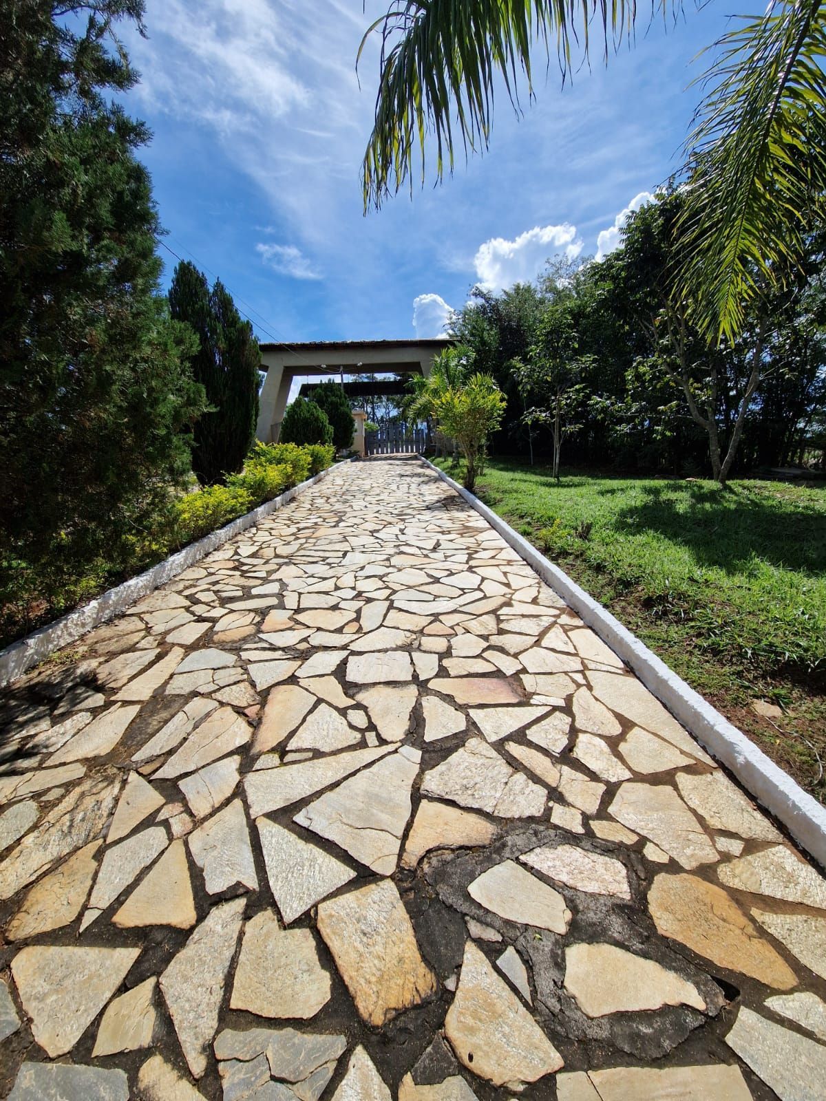 Caminho de pedra que atravessa um exuberante jardim verde sob um céu azul, conduzindo à entrada de um edifício.