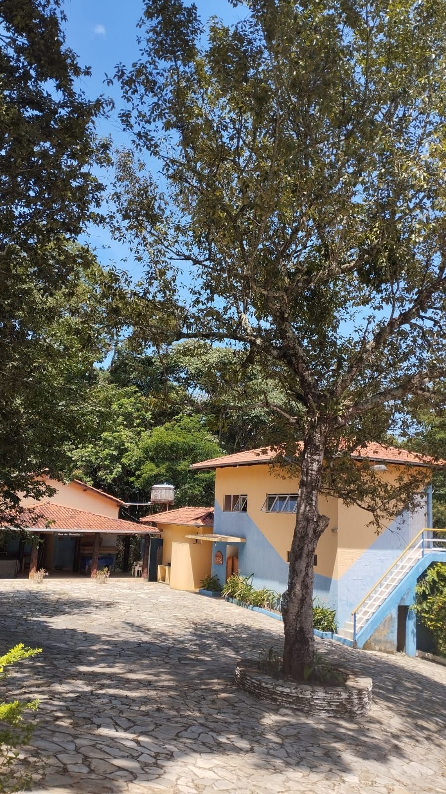 Árvore em frente a um prédio amarelo com escadas azuis, sob um céu azul claro.