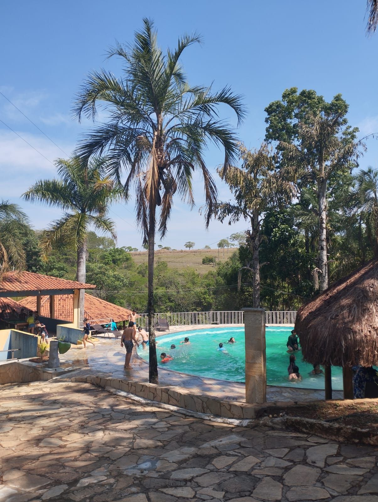 Piscina ao ar livre com banhistas, palmeiras e quiosques de palha para sombra em um dia ensolarado.