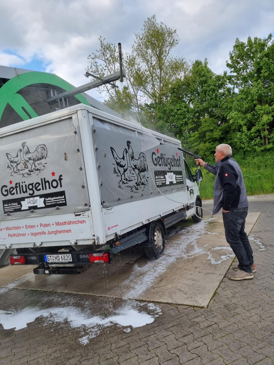 Hühner kaufen in der Nähe, Brahma, Barnevelder, Grünleger