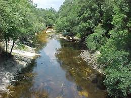 River flowing through lush green trees and sandy banks.