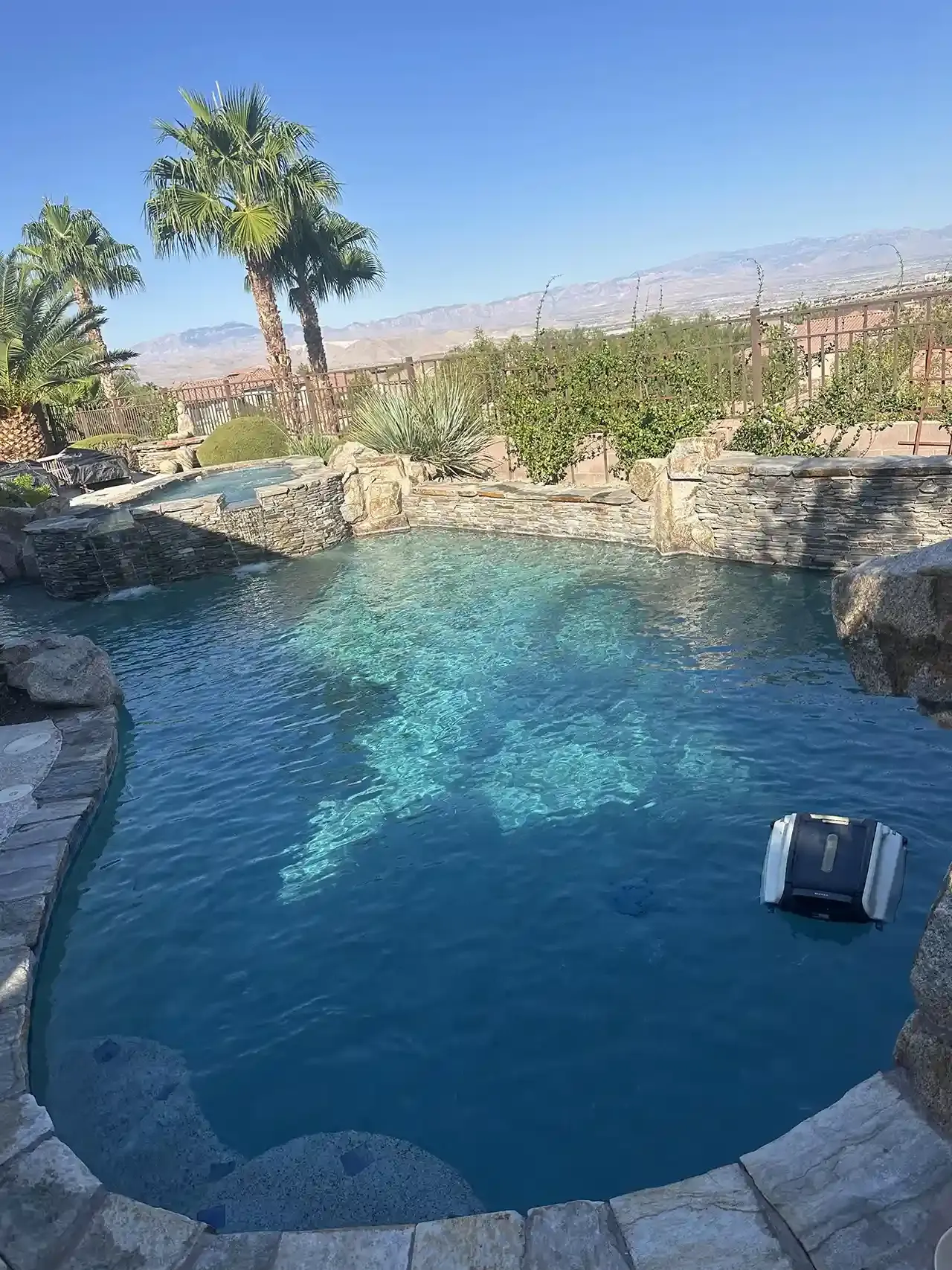 A large swimming pool surrounded by rocks and palm trees.