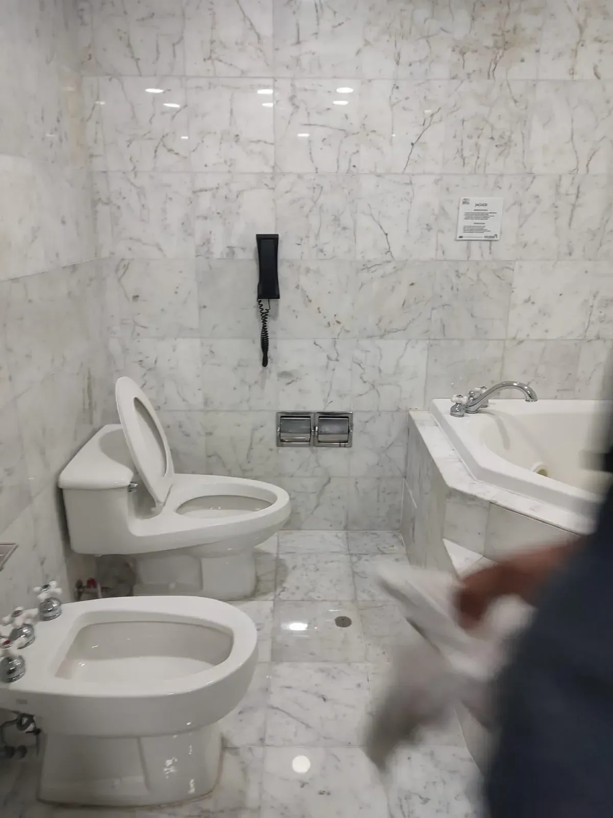 Bathroom with marble walls and floor, toilet, bidet, and a bathtub; a blurry figure partially visible on the right.
