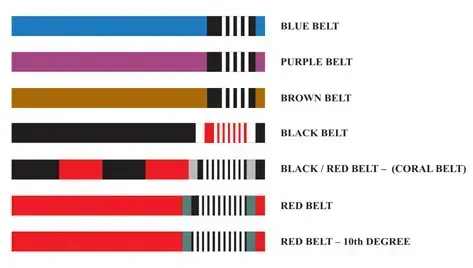 Brazilian Jiu-Jitsu belt ranks: blue, purple, brown, black, black/red (coral), red, and red belt with degree.