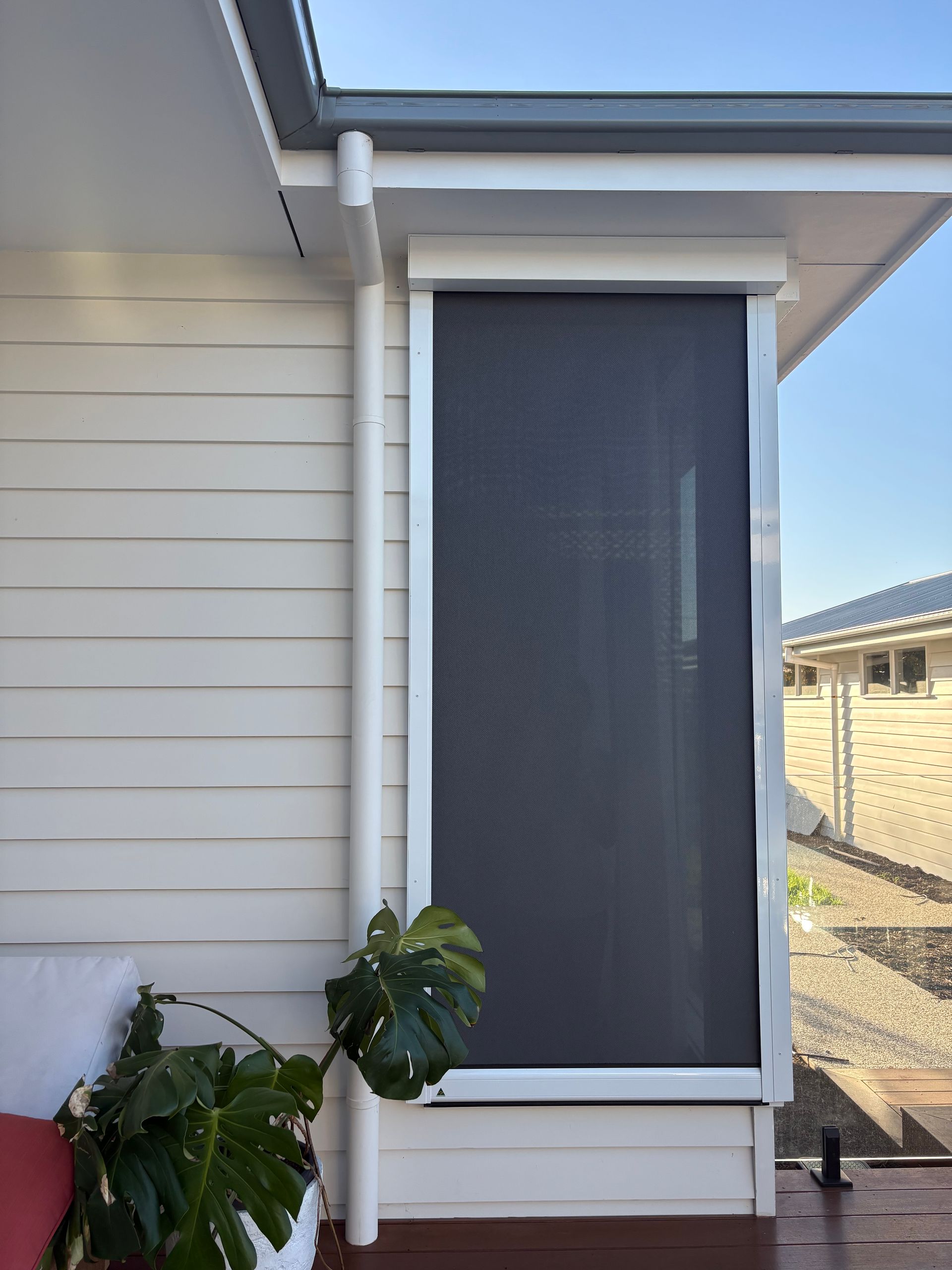 House exterior with a dark screened window and white trim beside leafy plants and a white downspout