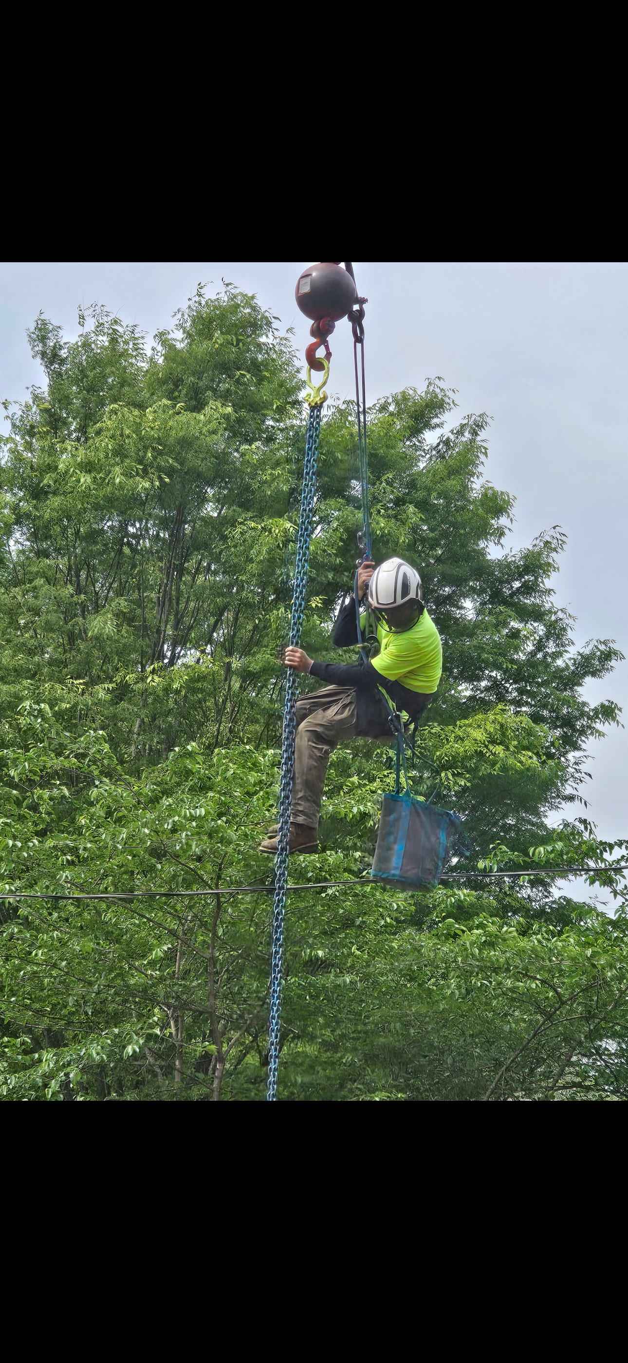 A man is climbing up a tree with a crane.