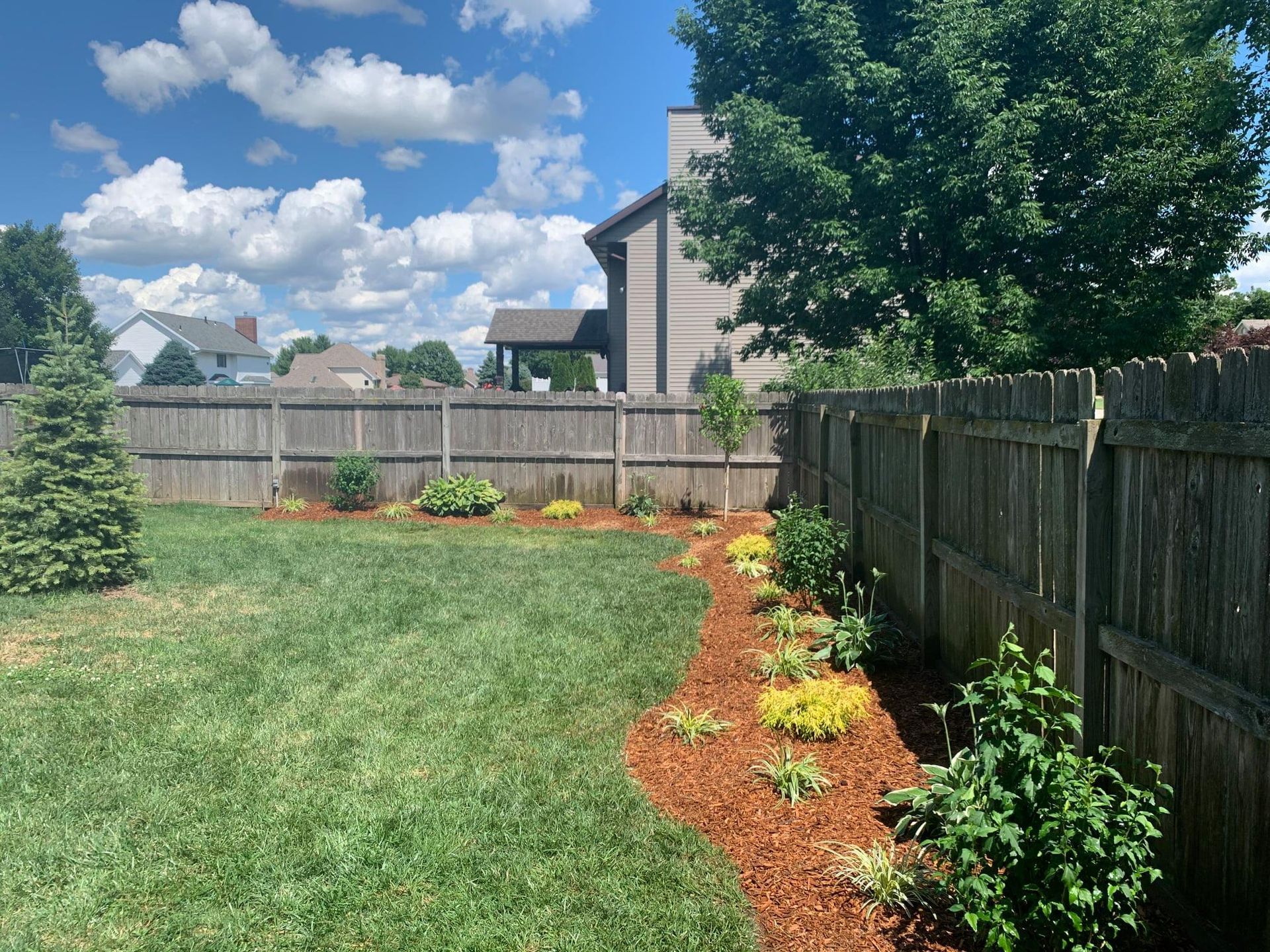 A landscaped garden bed with mulch and small shrubs borders a grassy backyard lawn along a wooden fence under a blue sky.