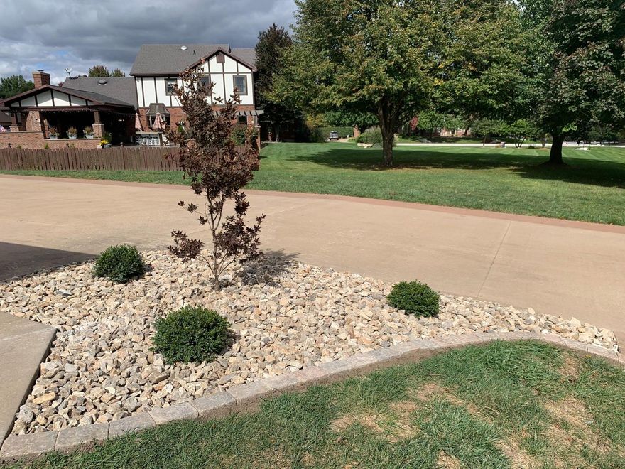A landscaped garden bed with a small reddish-purple tree and three green shrubs set in tan gravel by a concrete driveway.