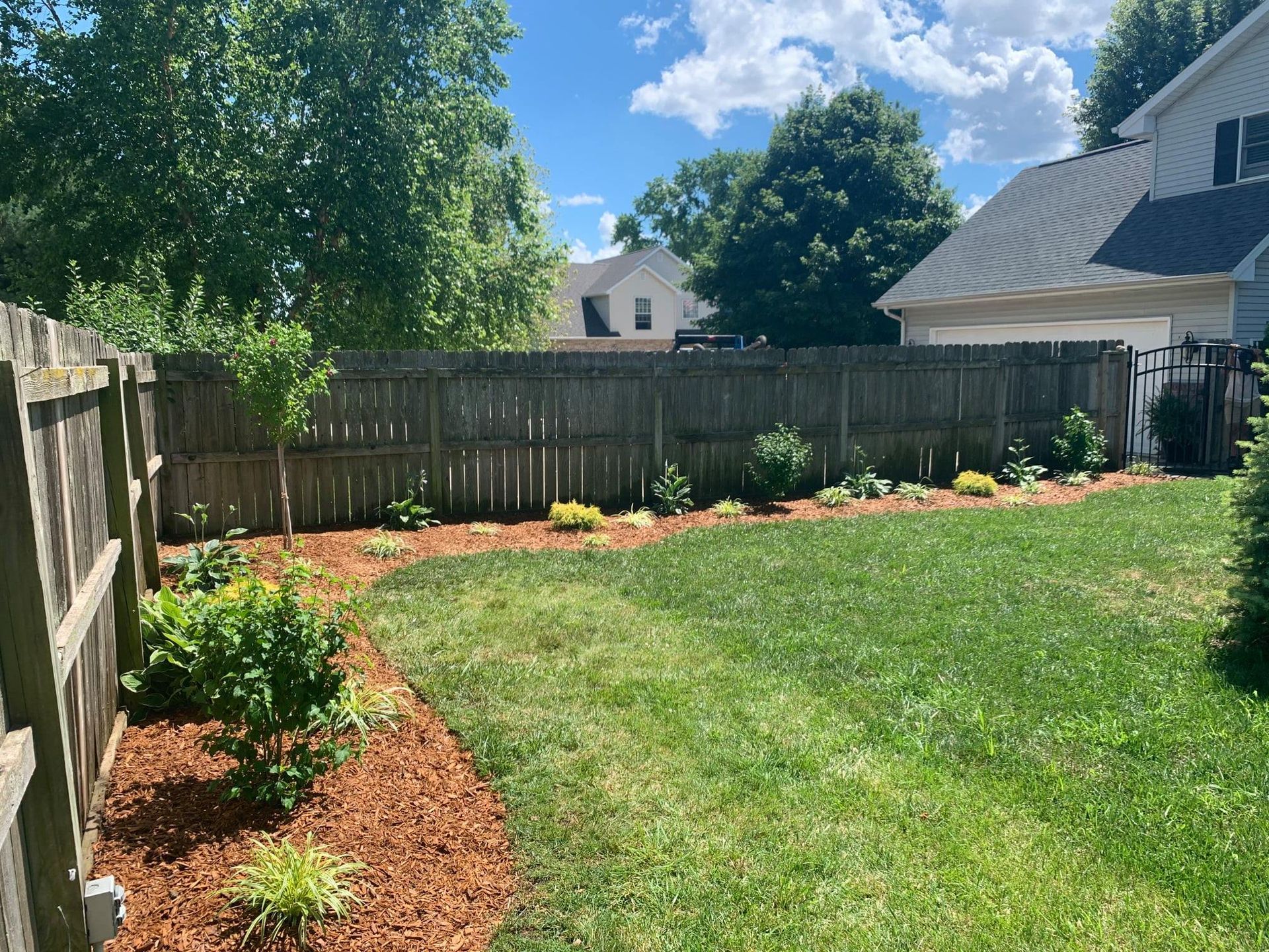 A fenced backyard featuring a grassy lawn, wooden perimeter fencing, and a mulched garden bed with small plants.
