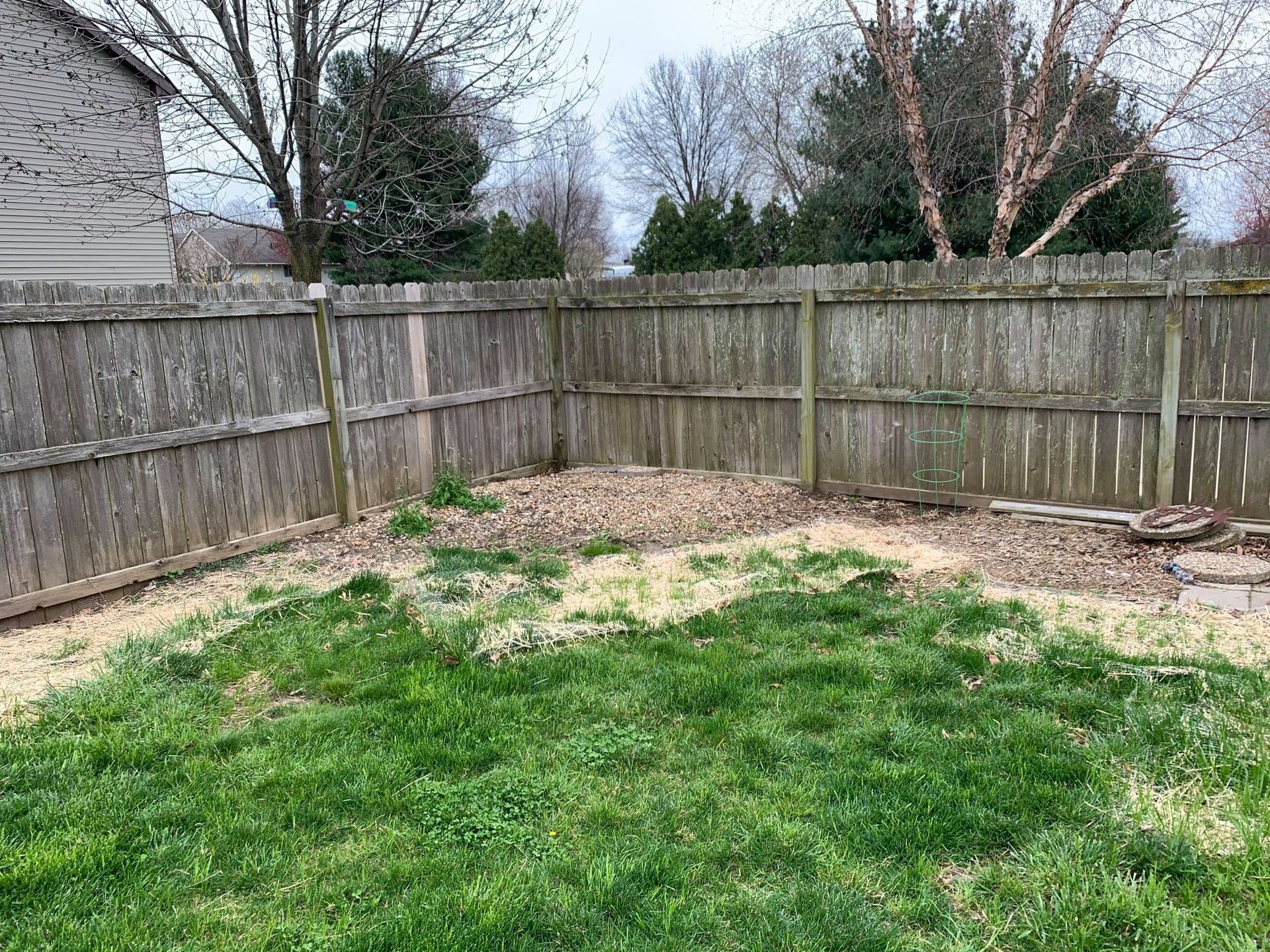 A grassy backyard corner featuring a weathered wooden privacy fence and a patch of dry leaves along the back edge.