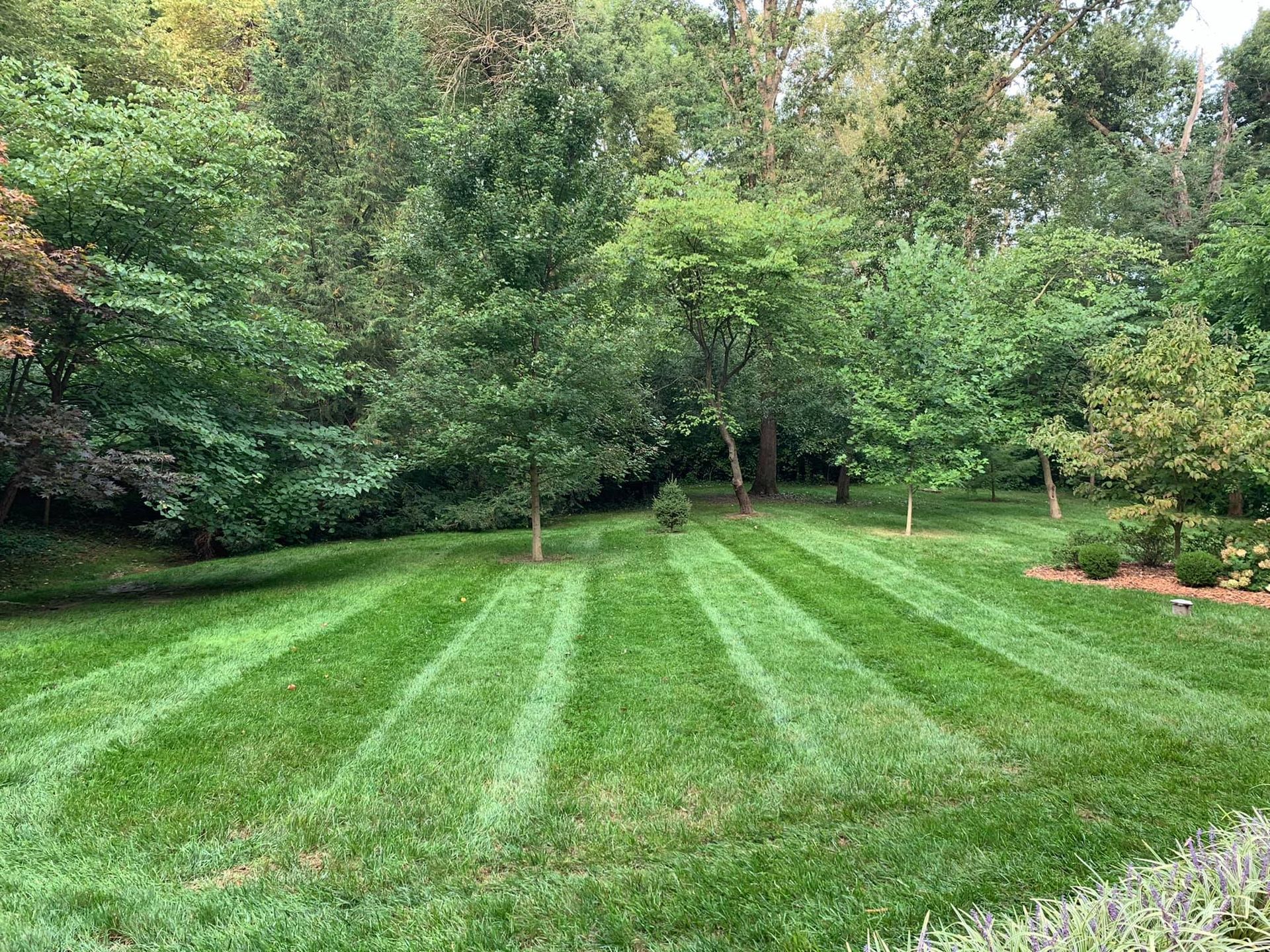 A freshly mown lawn featuring distinct grass stripes, surrounded by a lush green forest.