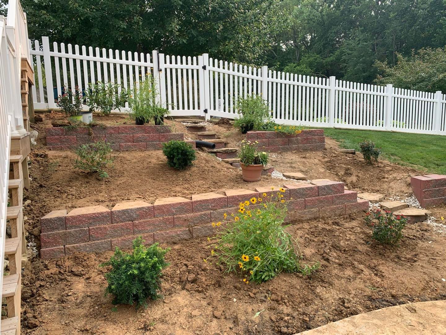 A terraced backyard garden with red brick retaining walls, mulch, various shrubs, and a white picket fence in the back.