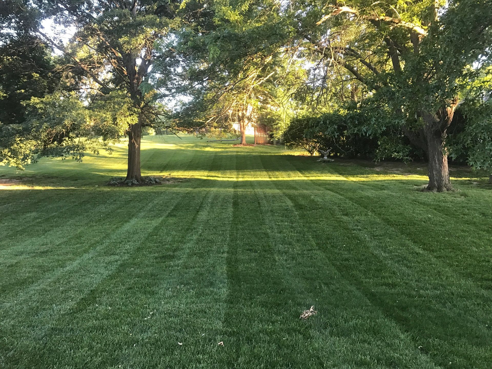A freshly mown, striped lawn stretches toward a small house framed by large, mature trees in a park-like setting.