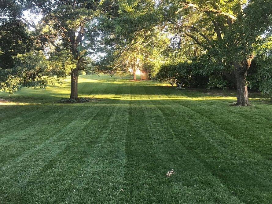 A freshly mown, striped lawn stretches toward a small house framed by large trees under soft, golden-hour sunlight.
