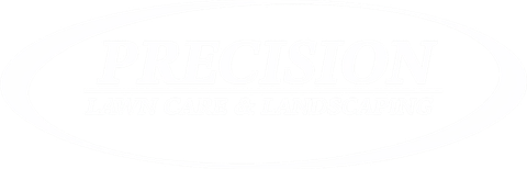 Mostly blank white image with a faint horizontal gray line near the bottom.