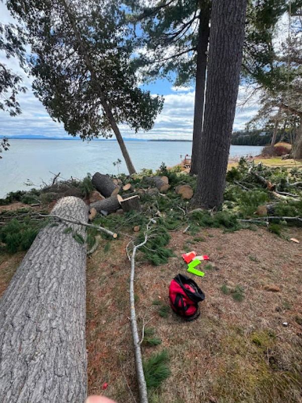 Storm-damaged lakeside yard with fallen tree, debris, and a red-and-black bag on dry grass