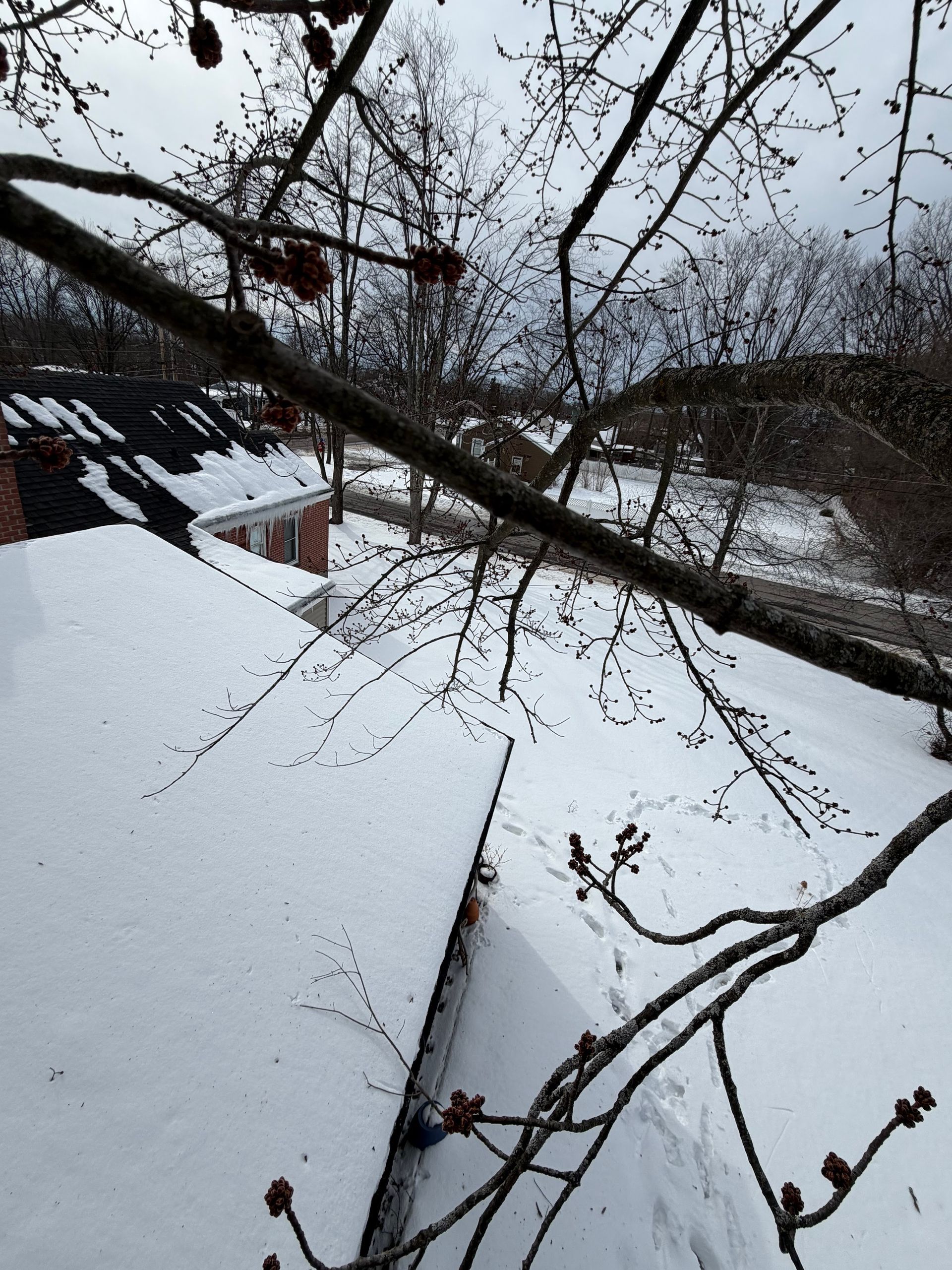 Snow-covered rooftop and bare tree branches overlooking a winter landscape.