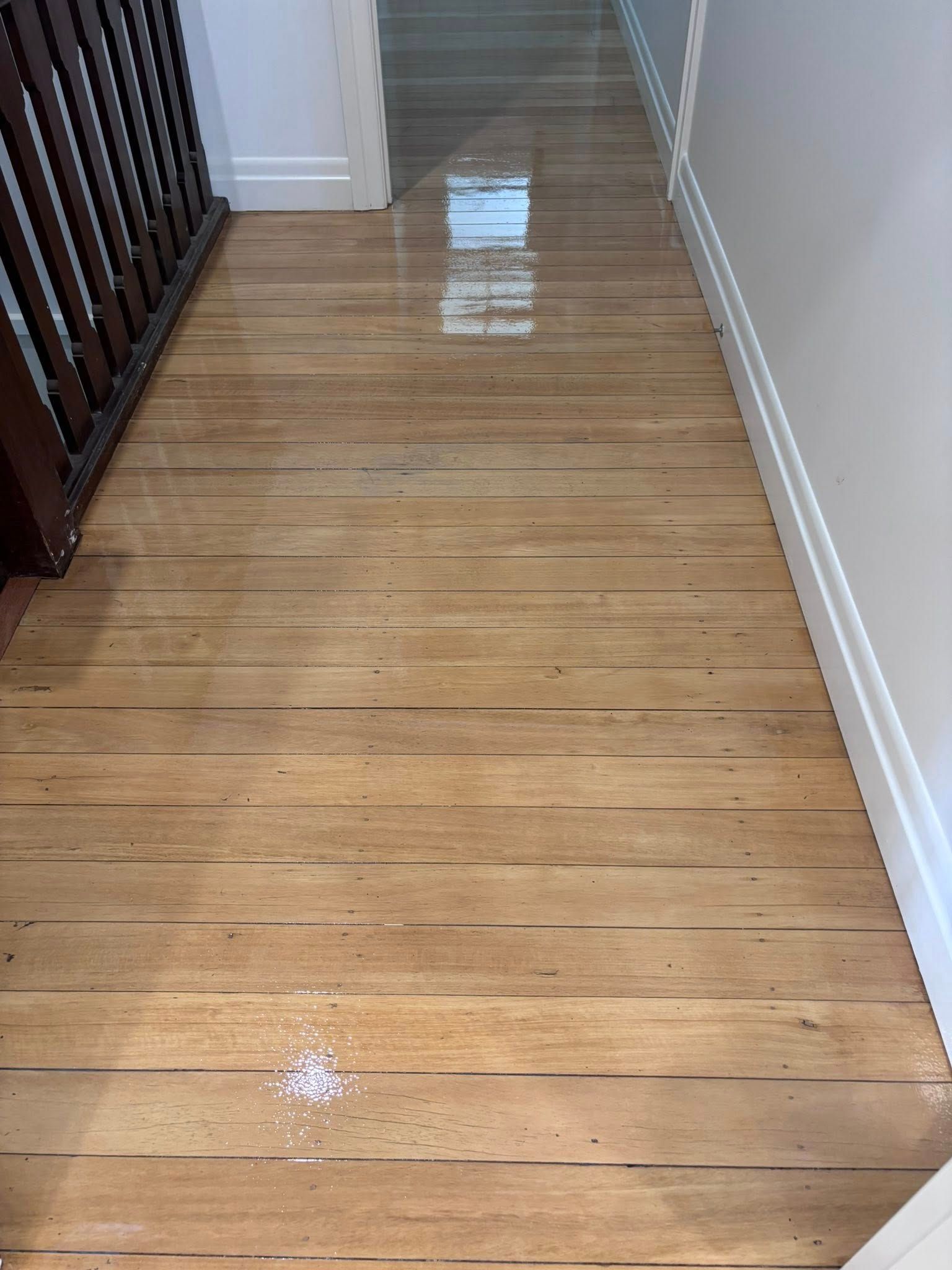 Polished Hardwood Floor With Light Reflections — Scott Johnston Floor Sanding in Bentley Park QLD