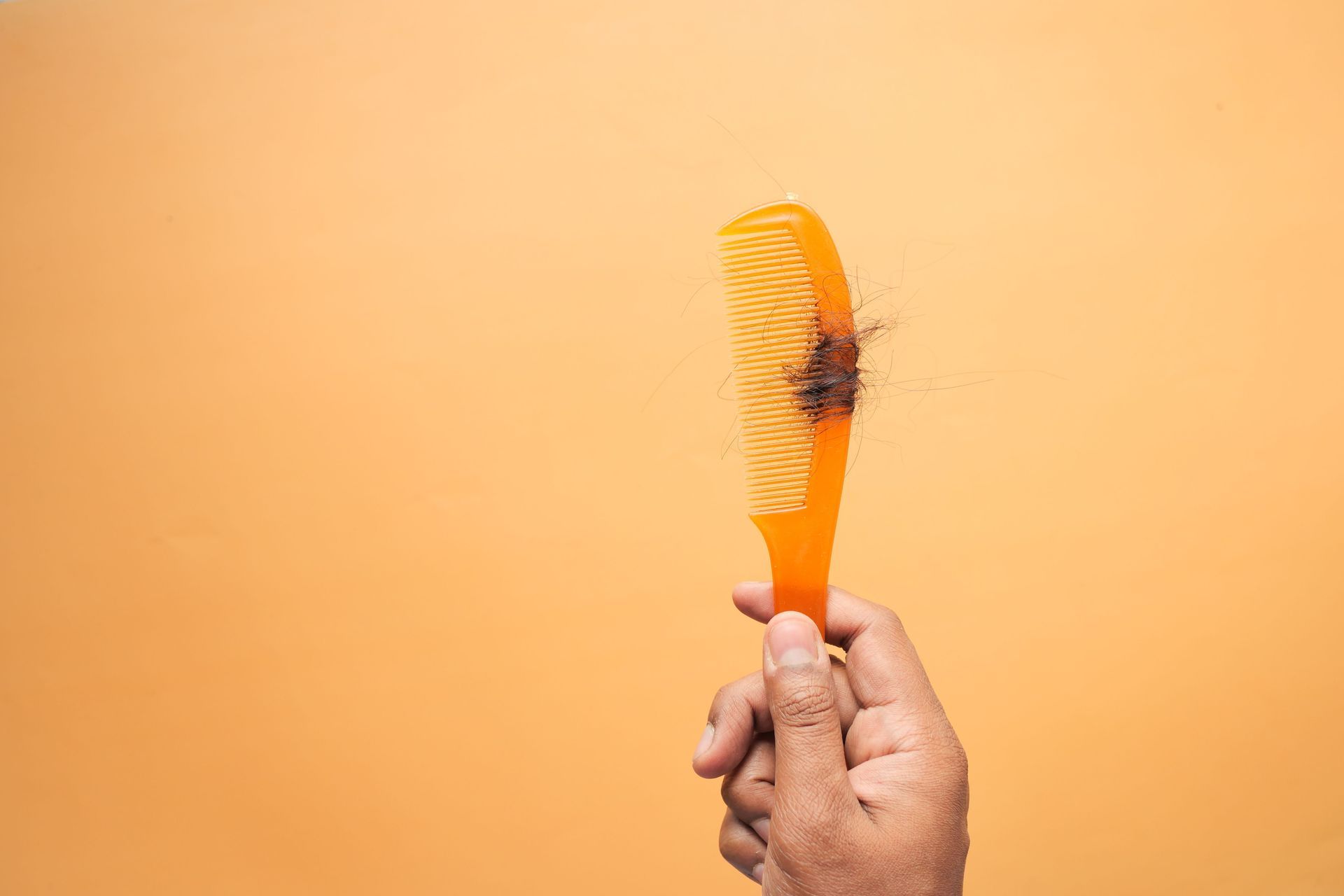 Loose hair caught in a comb